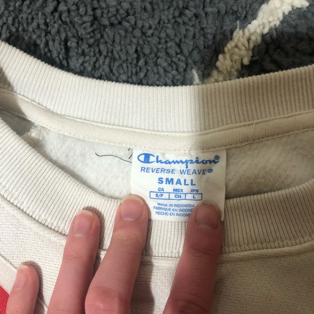Champion Reverse Weave Split Color Lock Crewneck - image 3